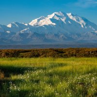 2 - Heidi Rodenhizer